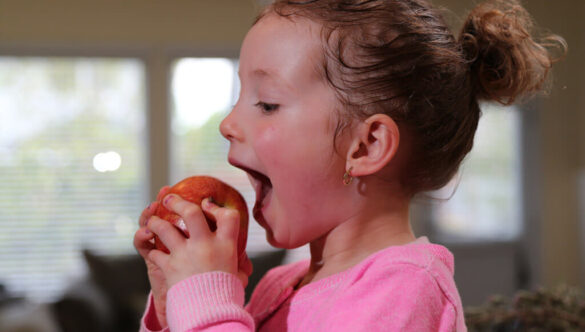 Family Nutrition Starts in the Kitchen